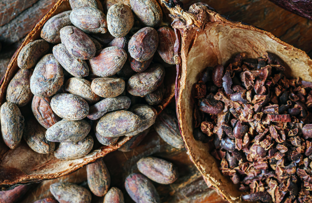 cacao