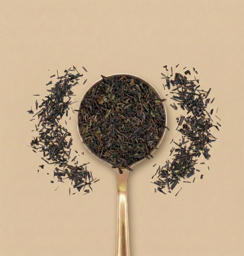 Darjeeling N°37 (Organic)