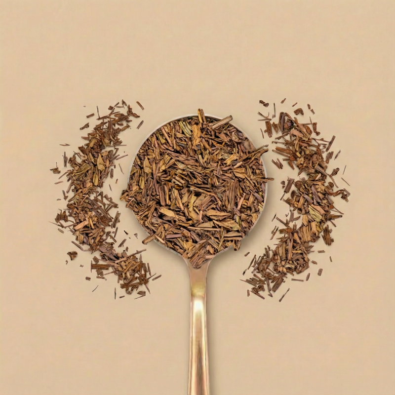 Hojicha, Kyushu