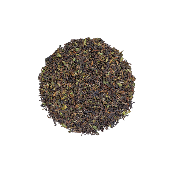 Darjeeling N°37 (Organic)